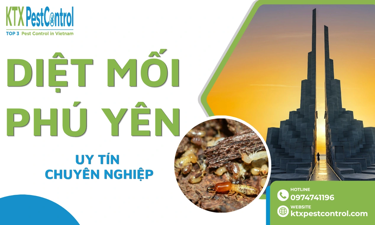 Diệt Mối Phú Yên Uy Tín, Chuyên Nghiệp, Giá Tốt