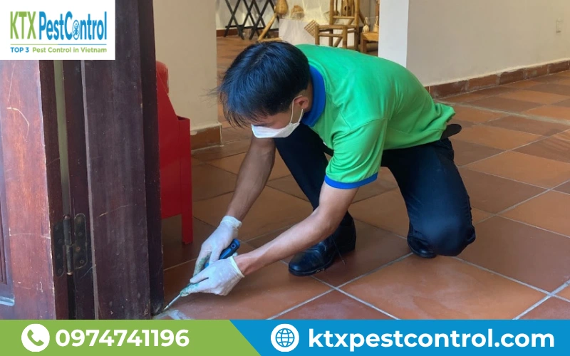 Nhân viên KTX xử lý mối tại khu vực chân cửa gỗ và khe tiếp giáp với nền nhà.