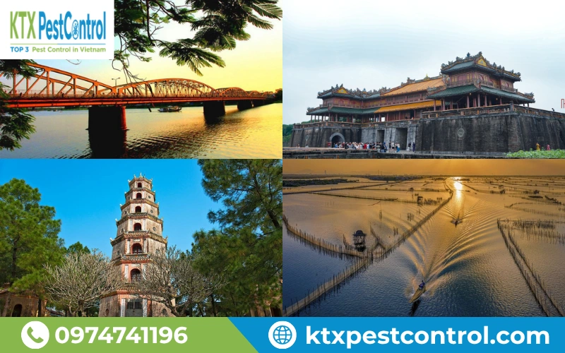KTX cung cấp dịch vụ diệt mối, phòng chống mối trên toàn bộ khu vực tại 