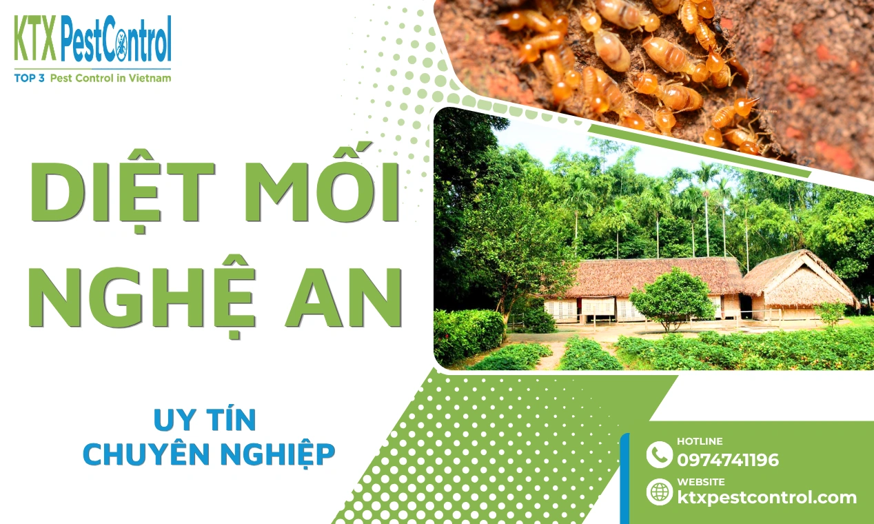 Dịch vụ diệt mối tại Nghệ An tận gốc, chuyên nghiệp
