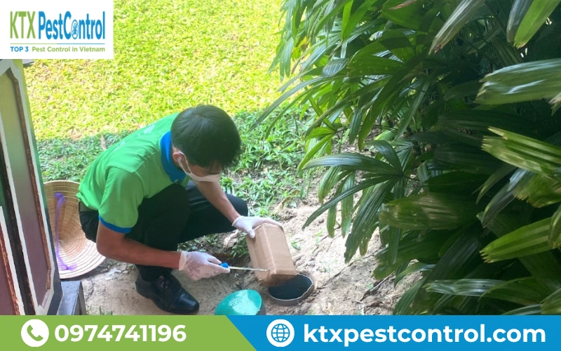 Triển khai diệt mối tại Nghệ An với quy trình chuyên nghiệp, giúp tiêu diệt mối triệt để