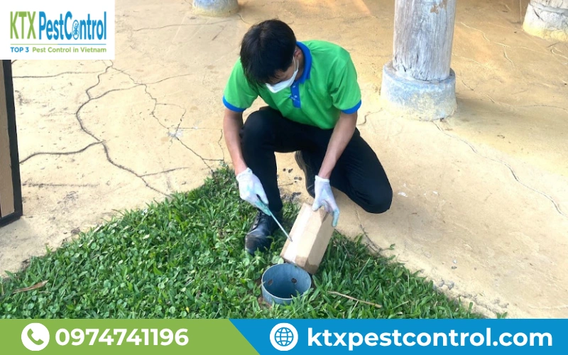 Diệt Côn Trùng KTX cung cấp dịch vụ diệt mối tại Nghệ An uy tín, an toàn, chuyên nghiệp