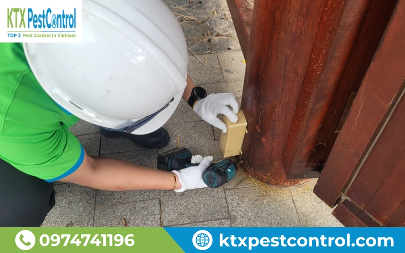 Hình ảnh diệt mối Nghệ An thực tế tại nhà ở được kỹ thuật viên KTX triển khai chuyên nghiệp