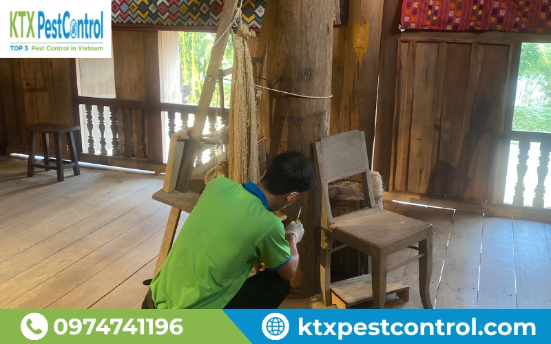 Quy trình diệt mối Nghệ An thực tế giúp xử lý tận gốc mối gây hại, bảo vệ tài sản bền vững