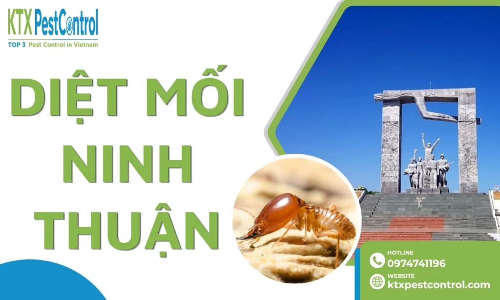 Dịch vụ diệt mối tại Ninh Thuận tận gốc, giá tốt