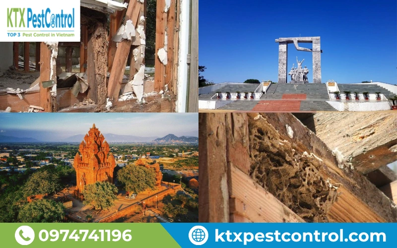 Diệt Côn Trùng KTX cung cấp dịch vụ diệt mối trên toàn khu vực Ninh Thuận 