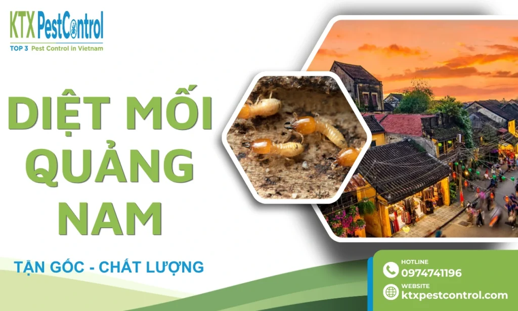 Dịch Vụ Diệt Mối Tại Quảng Nam Uy Tín, Giá Tốt