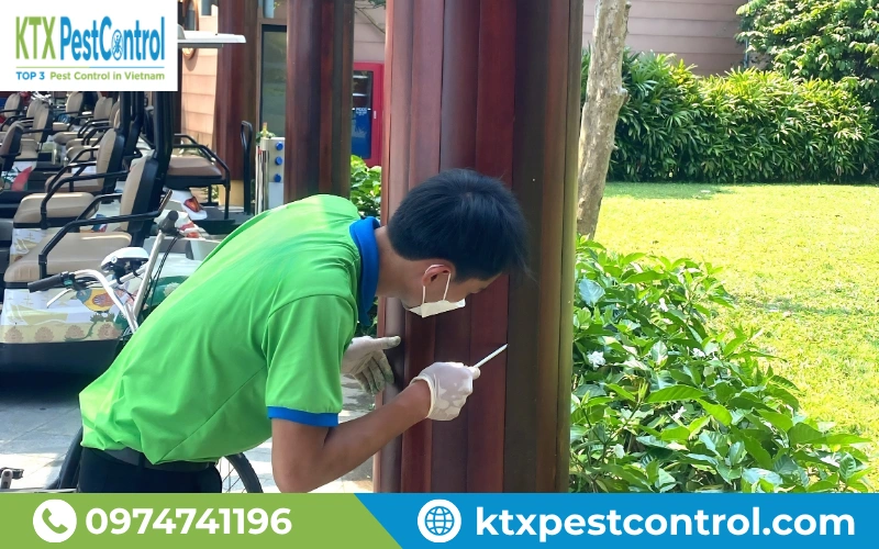 KTX tiến hành khảo sát tận nơi, kiểm tra mức độ phá hoại của mối