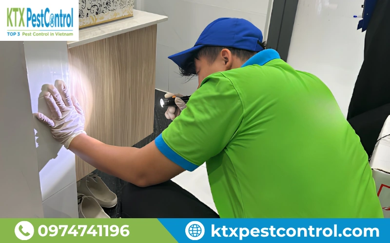 Diệt Côn Trùng KTX mang đến dịch vụ diệt mối Thanh Hóa chuyên nghiệp với chi phí minh bạch, đội ngũ kỹ thuật giàu kinh nghiệm và bảo hành rõ ràng.