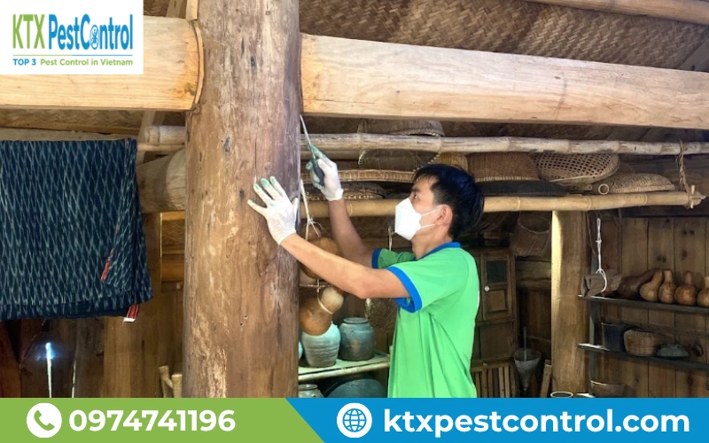 Đội ngũ kỹ thuật thực hiện diệt mối tại Yên Bái cẩn thận, đảm bảo hiệu quả, an toàn cho công trình