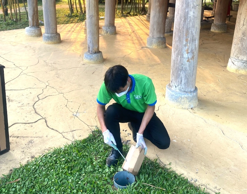 Hình ảnh thực tế đội ngũ kỹ thuật xử lý mối tại nhiều công trình ở Yên Bái