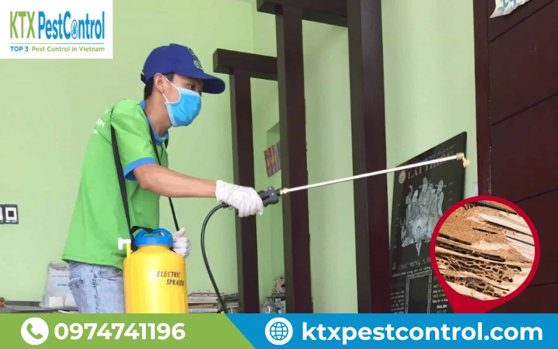 Phun dung dịch diệt mối chuyên dụng